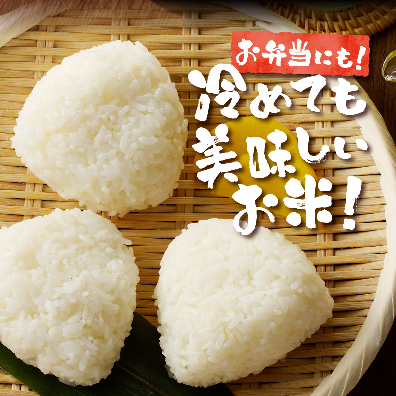 《令和7年産》特別栽培米ななつぼし 10kg×3ヵ月定期便 | 16年連続特A ブランド米 白米 精米 米 お米 こめ 減農薬 単一原料米 ご飯 北海道米 北海道 滝川市