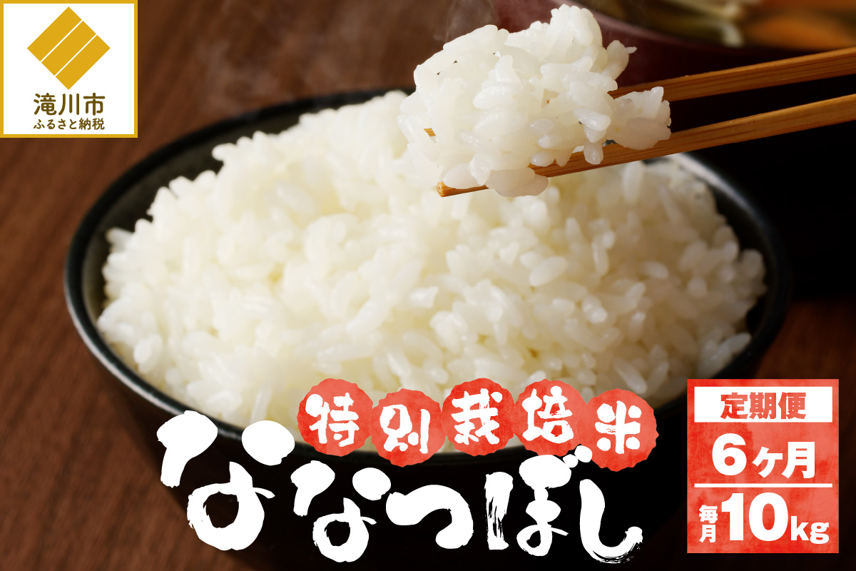 《令和7年産》特別栽培米ななつぼし 10kg×6ヵ月定期便 | 16年連続特A ブランド米 白米 精米 米 お米 こめ 減農薬 単一原料米 ご飯 北海道米 北海道 滝川市