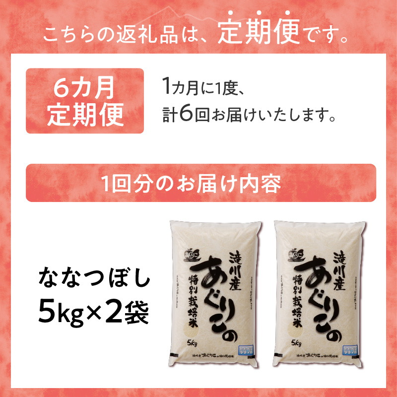 《令和7年産》特別栽培米ななつぼし 10kg×6ヵ月定期便 | 16年連続特A ブランド米 白米 精米 米 お米 こめ 減農薬 単一原料米 ご飯 北海道米 北海道 滝川市