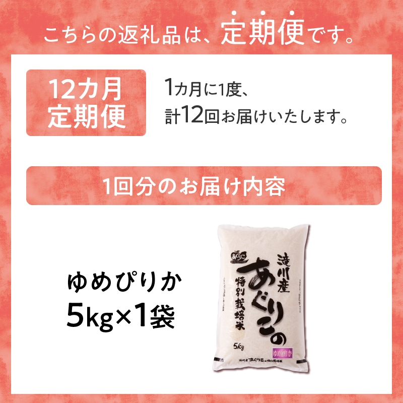 《令和7年産》特別栽培米ゆめぴりか 5kg×12ヵ月定期便 | 16年連続特A ブランド米 白米 精米 米 お米 こめ 減農薬 単一原料米 ご飯 北海道米 北海道 滝川市