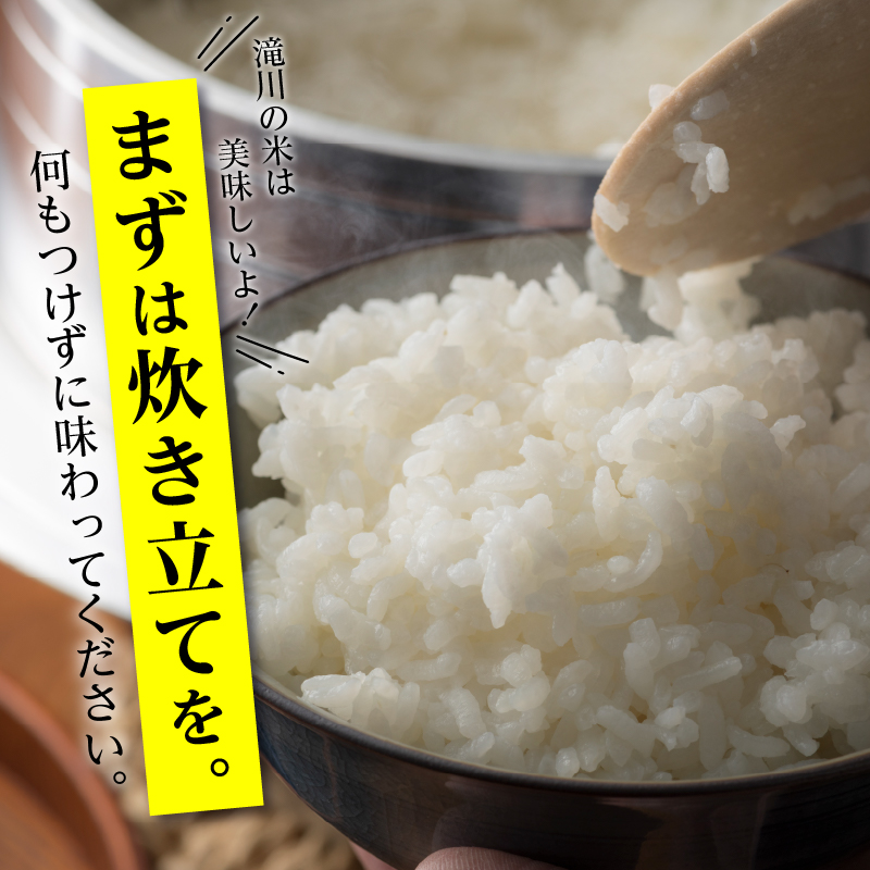《令和7年産》6ヶ月連続お届け!ゆめぴりか10kg | 特A 白米 ブランド米 米 こめ コメ お米 ご飯 ごはん 単一米 滝川市 北海道 北海道産 道産 北海道米 定期便 生活応援 送料無料 おすすめ 人気 お弁当 贈答