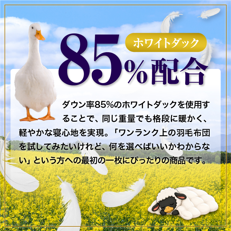 羽毛布団 Royalシリーズ ホワイトダックダウン85% 本掛け 冬用【クイーン】360dp以上 ホテル仕様 完全国内生産 北海道滝川市