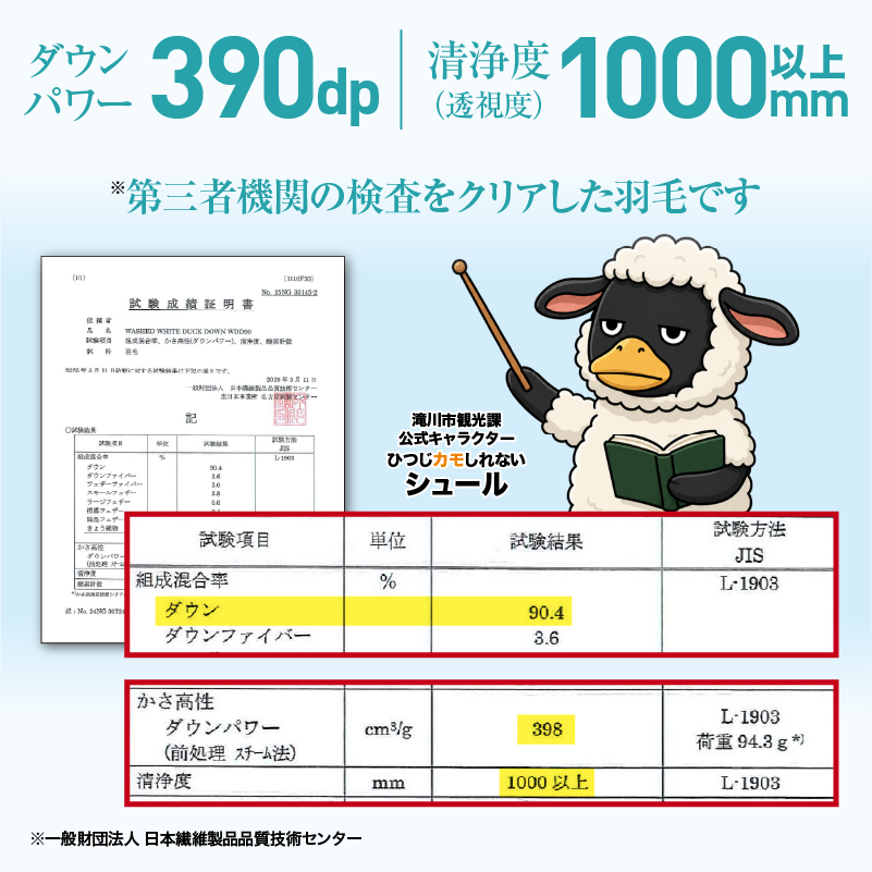 羽毛布団 Royalシリーズ ホワイトダックダウン90% 本掛け 冬用【クイーン】390dp以上 ホテル仕様 完全国内生産 北海道滝川市