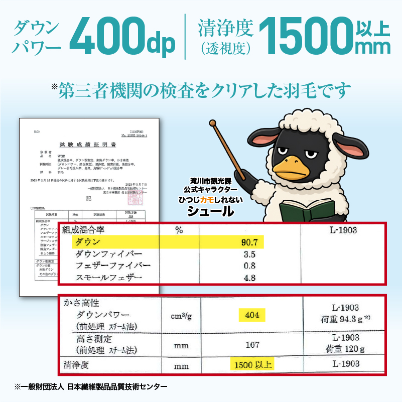 羽毛布団 Royalシリーズ ホワイトグースダウン90% 肌掛け ダウンケット 通年【セミダブル】400dp以上 ホテル仕様 完全国内生産 北海道滝川市