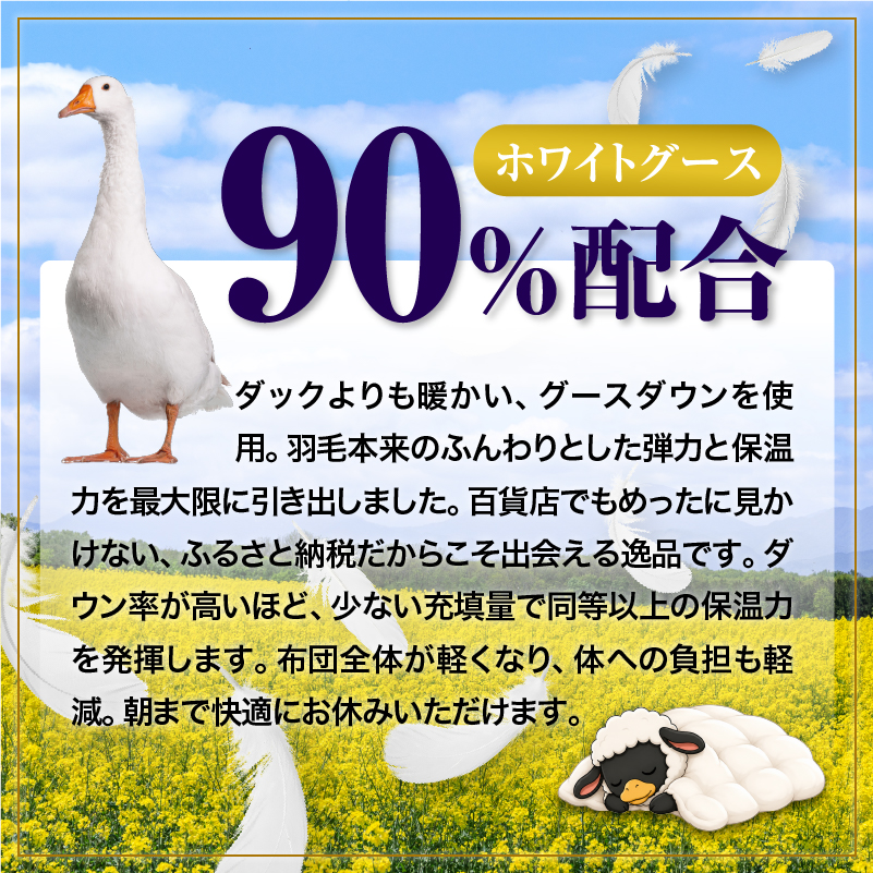 羽毛布団 Royalシリーズ ホワイトグースダウン90% 肌掛け ダウンケット 通年【クイーン】400dp以上 ホテル仕様 完全国内生産 北海道滝川市