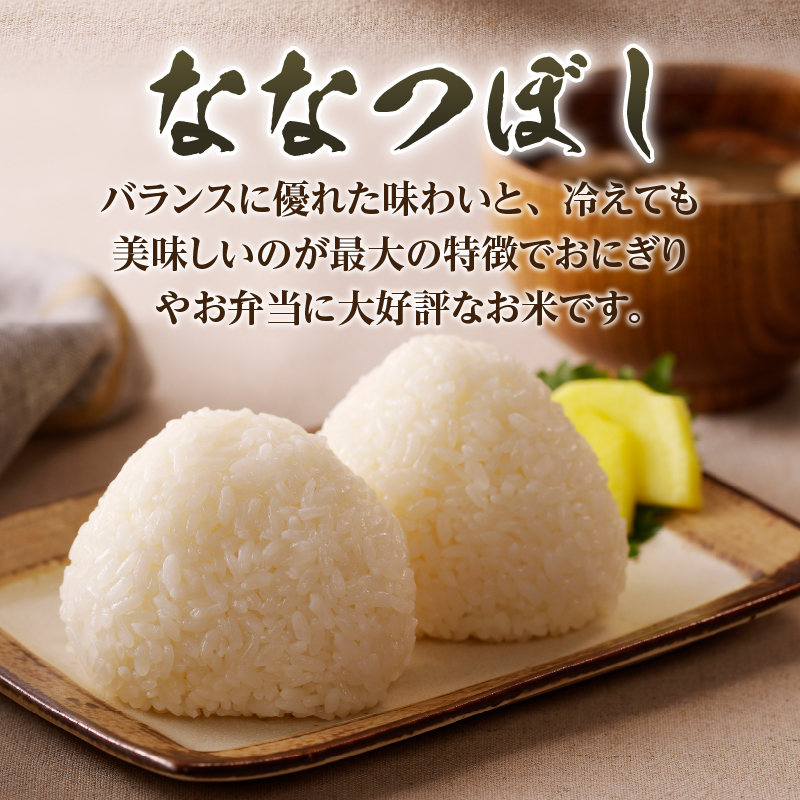 《令和8年産新米》6ヵ月連続お届け!ななつぼし5kg 特A 銘柄 ブランド米 精米 北海道 定期便 道産 お弁当 滝川市
