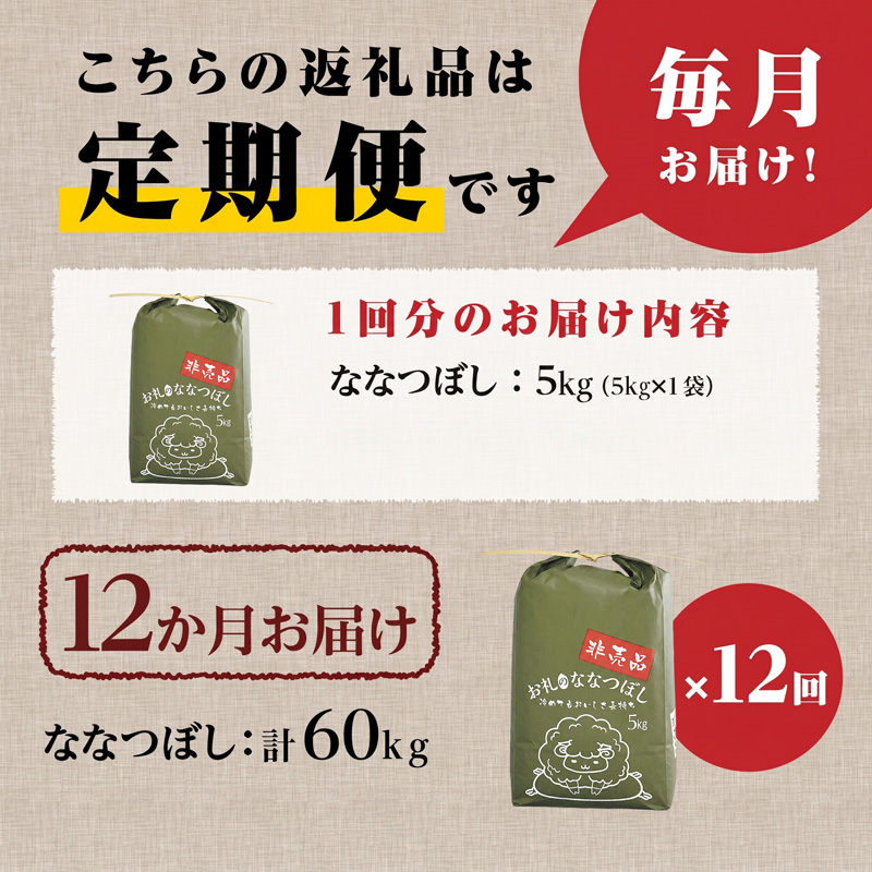 《令和8年産新米》12ヵ月連続お届け!ななつぼし5kg 特A 銘柄 ブランド米 精米 北海道 定期便 道産 お弁当 滝川市