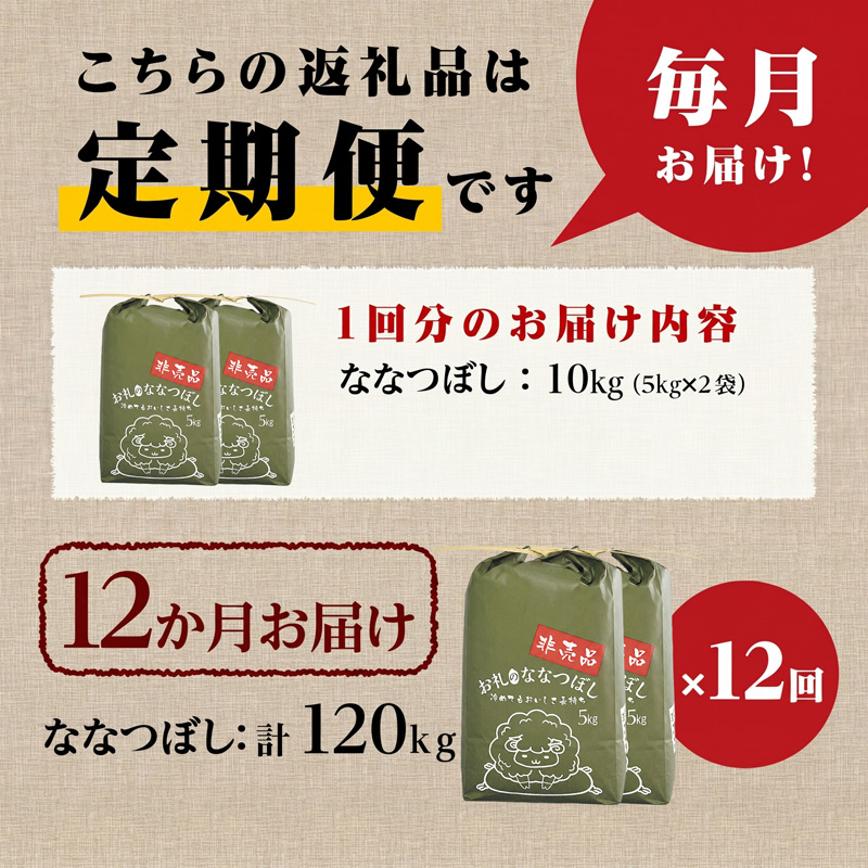 《令和8年産新米》12ヵ月連続お届け!ななつぼし10kg 特A 銘柄 ブランド米 北海道 定期便 精米 道産 お弁当 滝川市