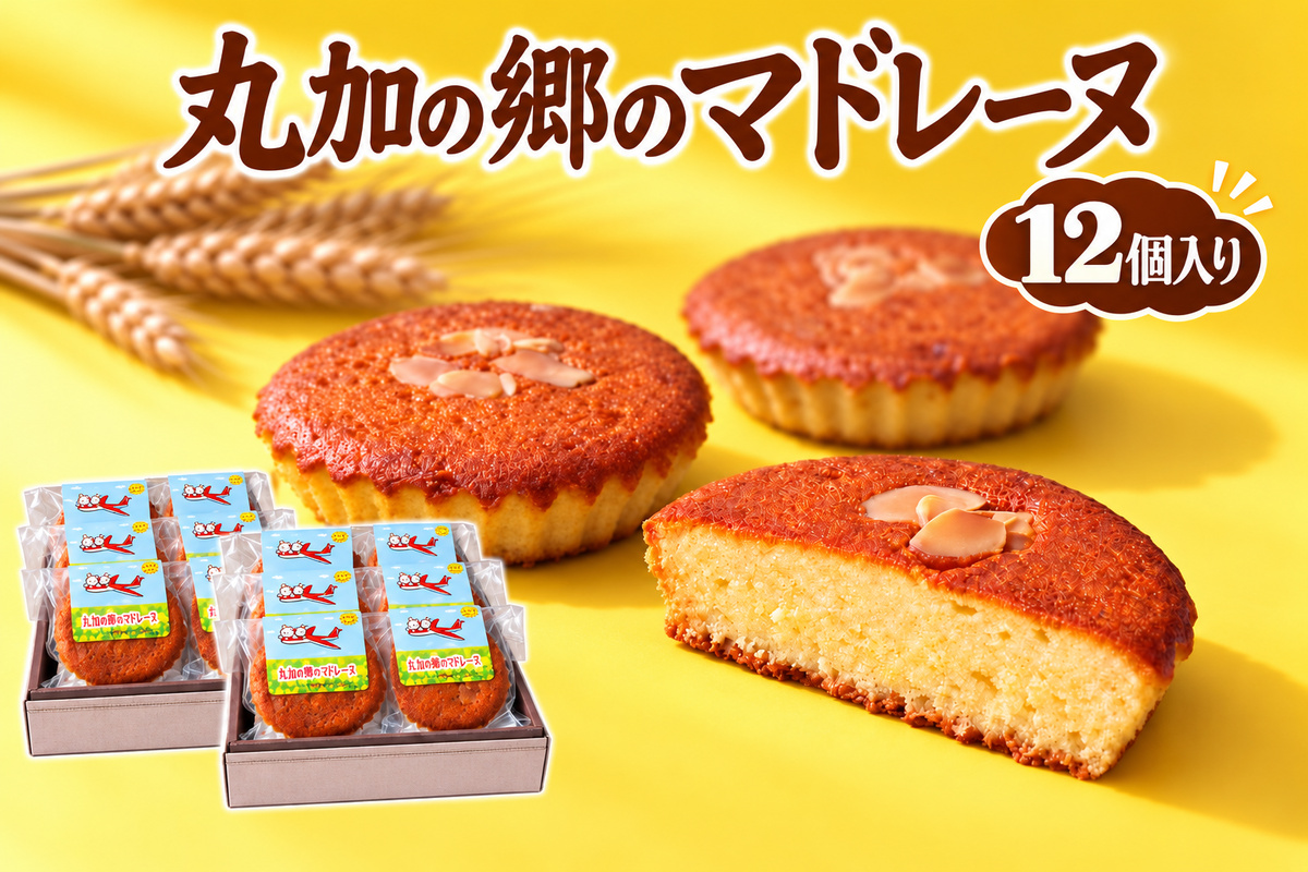 丸加の郷のマドレーヌ 12個入り 個包装｜北海道 滝川市 バター 焼き菓子 スイーツ 洋菓子 お菓子 北海道産小麦 きたほなみ おやつ ティータイム 贈り物 ギフト 手土産 お土産 プレゼント お取り寄せ