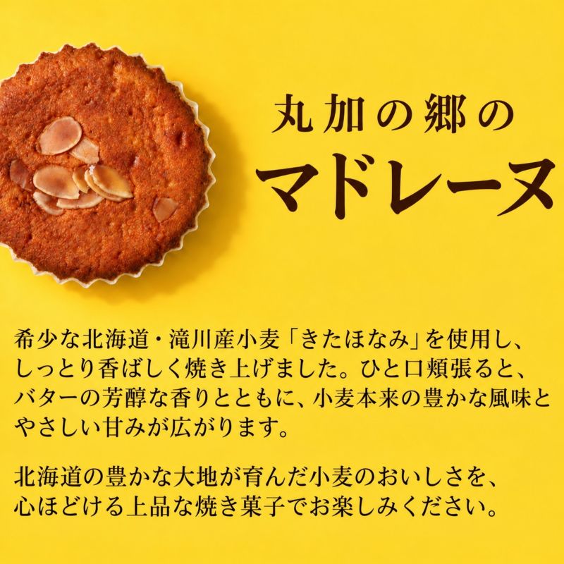 丸加の郷のマドレーヌ 12個入り 個包装｜北海道 滝川市 バター 焼き菓子 スイーツ 洋菓子 お菓子 北海道産小麦 きたほなみ おやつ ティータイム 贈り物 ギフト 手土産 お土産 プレゼント お取り寄せ