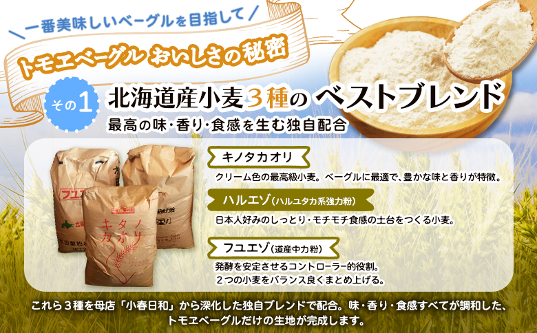 トモヱベーグル「クリームチーズブルーベリー」10個セット【33003101】