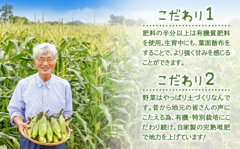 【北海道恵庭市産】朝どりスイートコーン×10本【310024】