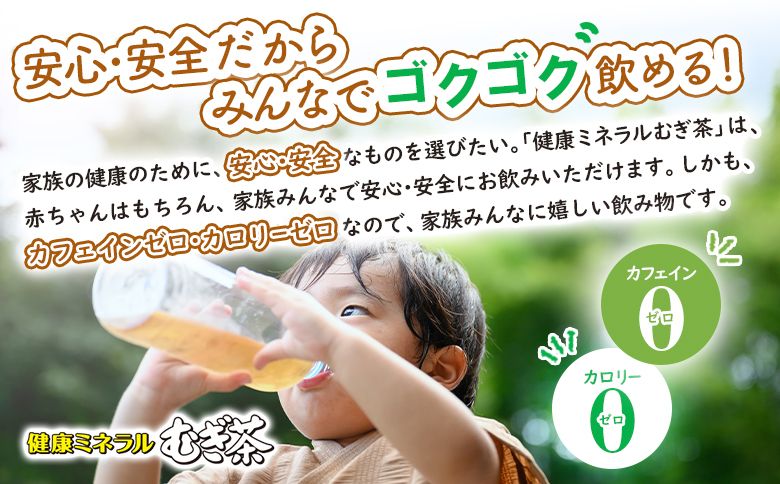 『定期便：全5回』健康ミネラルむぎ茶2L×6本【50001001】