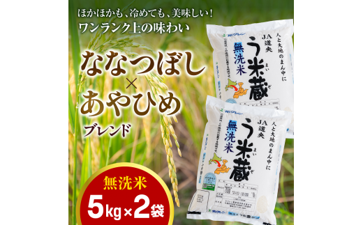 【無洗米】北海道米う米蔵5kg×2（計10kg）【29002304】