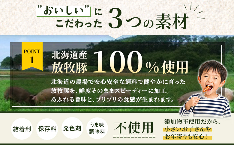 【定期便：6回】北海道産放牧豚 無添加粗挽きウインナー ×20パック【12008501】