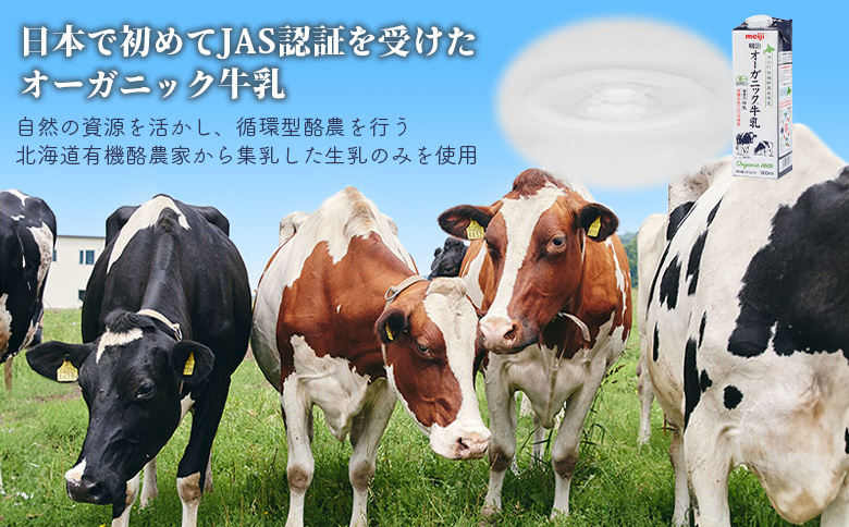 《配送地域限定》【定期便3回】明治オーガニック牛乳 900ml【4本】【73000501】