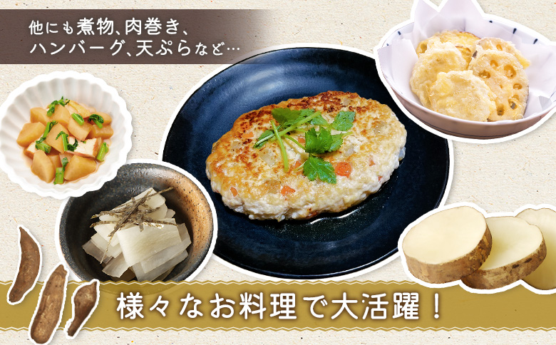 【先行予約】【北海道恵庭市産】余湖農園のヤーコン4kg【31001402】