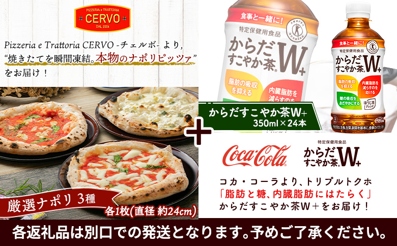 石窯ピッツァ3枚（ナポリ3種）とからだすこやか茶のセット【C9900701】