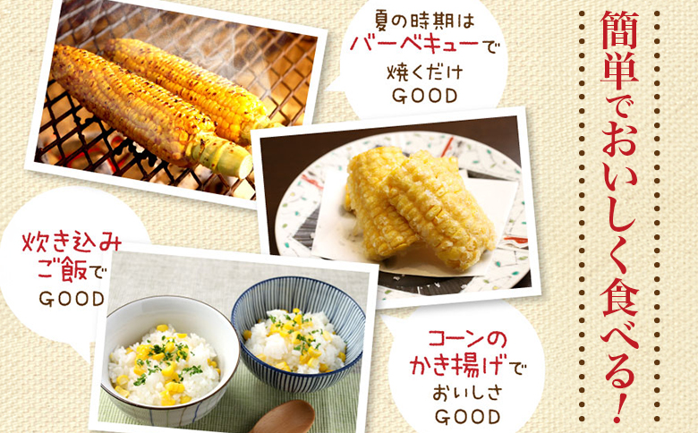 【北海道恵庭市産】朝どりスイートコーン×20本 北海道産 とうもろこし ふるさと納税 北海道 恵庭市【31000103】