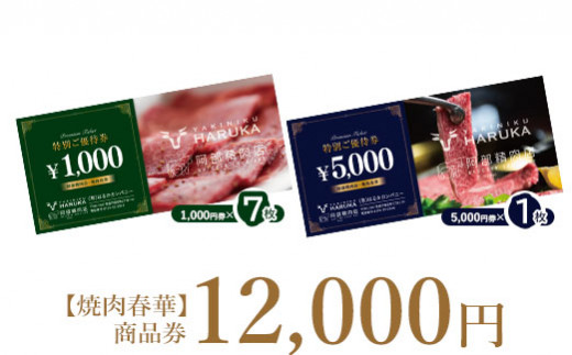 【焼肉春華】商品券12,000円【16011BA0101】