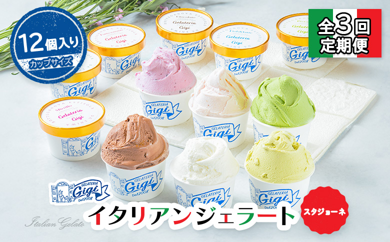 【定期便：全3回】ジェラテリアGigiのイタリアンジェラート6種(Gigiのおまかせ1種入り）【カップサイズ12個】 (牛乳、ピスタチオ、抹茶、チョコレート、ブルーベリーヨーグルト、Gelateria Gigiが選ぶおまかせジェラート)x2【43007002】