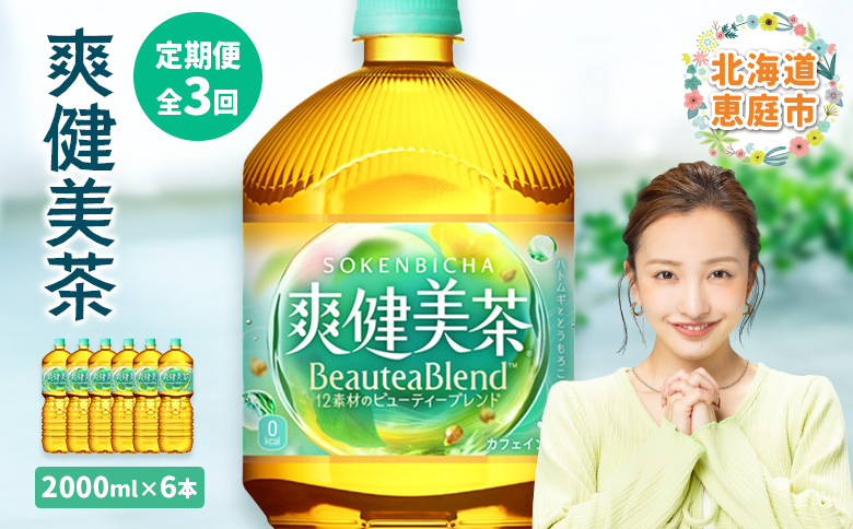 『定期便：全3回』爽健美茶2000mlPET×6本【38000802】