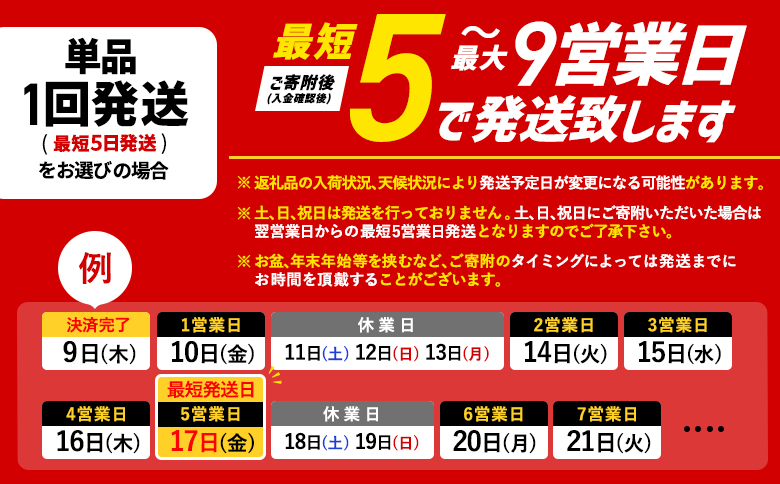サッポロ　ヱビスビール　48本（350ml×24本×2箱）【300060822】