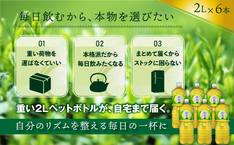 綾鷹 2000mlPET×6本 緑茶 飲料【38000102】