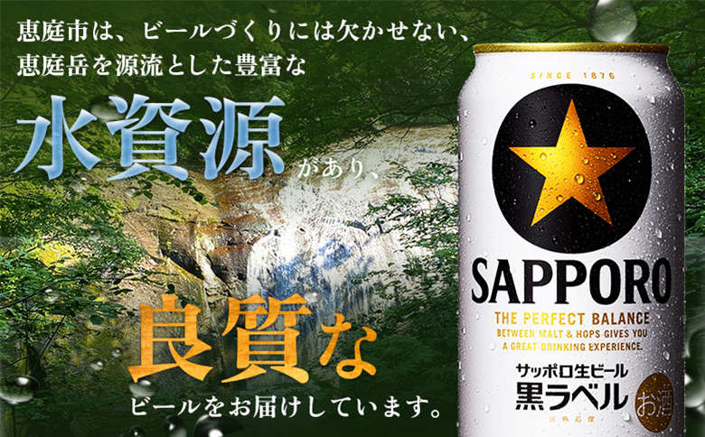 サッポロ黒ラベル 350ml×24本【880040011】
