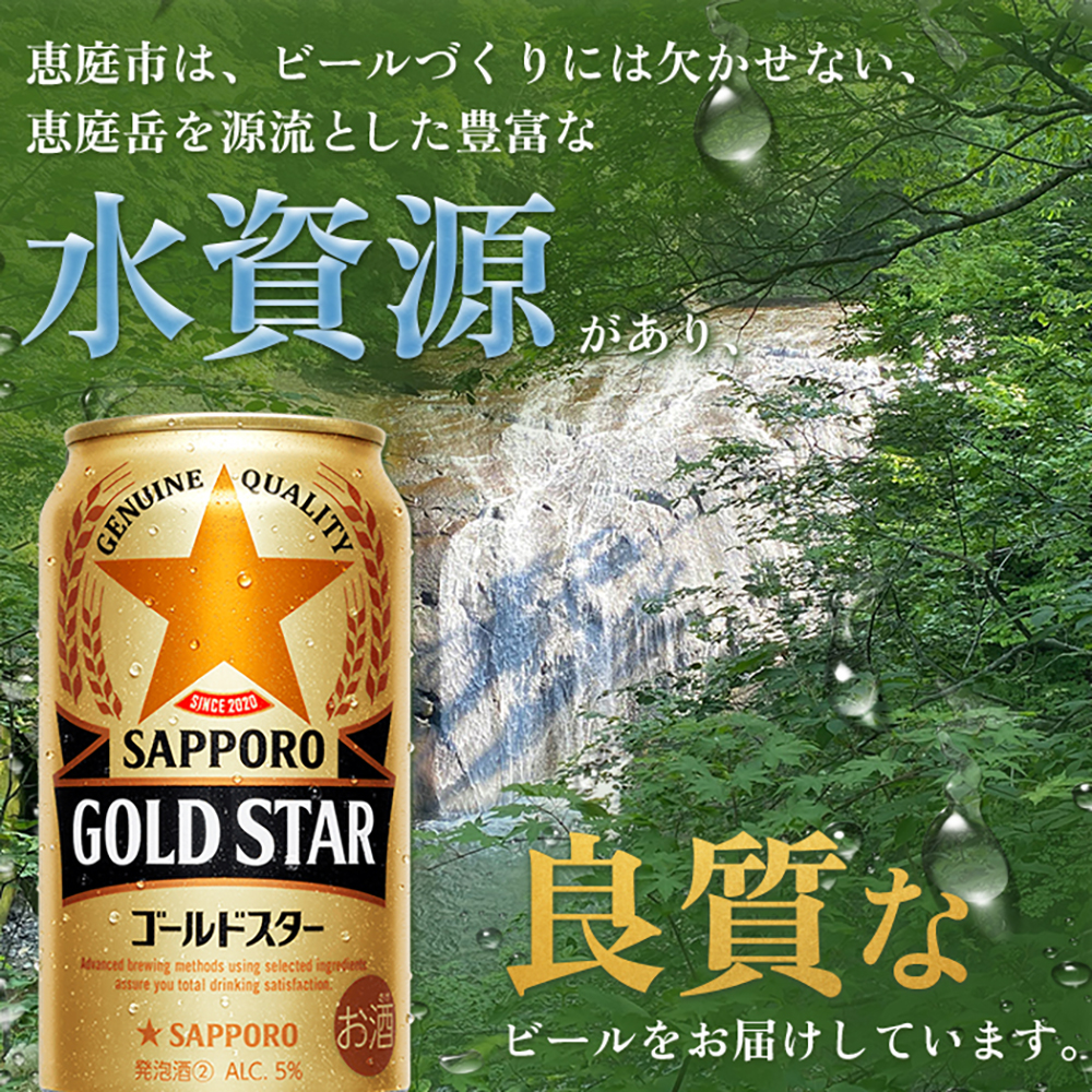 『定期便：全3回』 GOLDSTAR350ml×24本 ゴールドスター【300100251903】