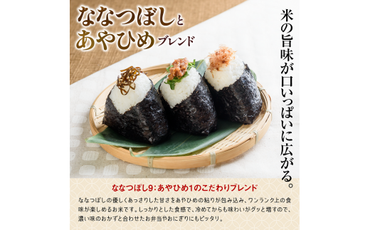 【無洗米】北海道米う米蔵5kg×2（計10kg）【29002304】