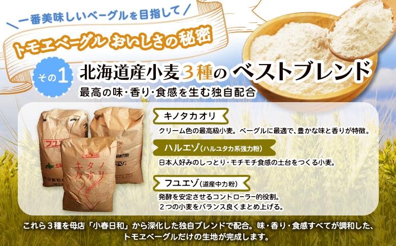 【定期便：全2回】トモヱベーグル ギフトセット「北の麦輪（むぎわ）１０個セット」【33000301】