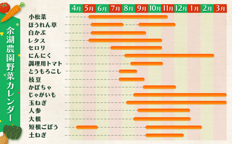 北海道産季節の野菜詰め合わせ 6種類8品【31000503】