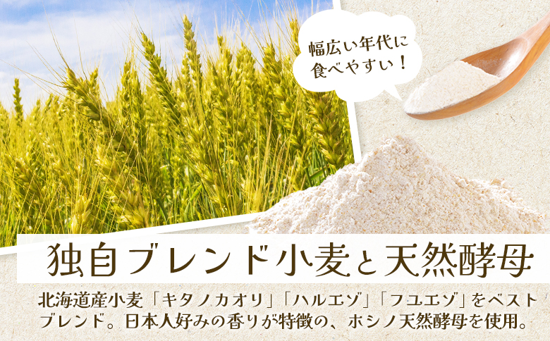 トモヱベーグル 「プレーンベーグル 巴（ともえ）」１０個セット【33000602】