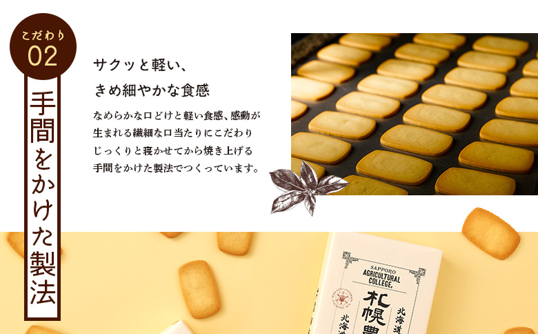 【札幌農学校】北海道ミルククッキー　（12枚入り×2箱＆24枚入り2箱）【95001301】