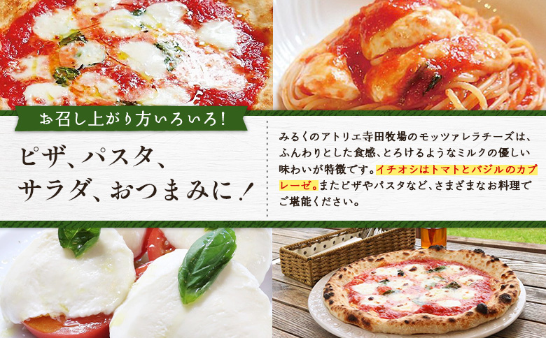 モッツァレラチーズ6個入セット（冷凍）【15000202】