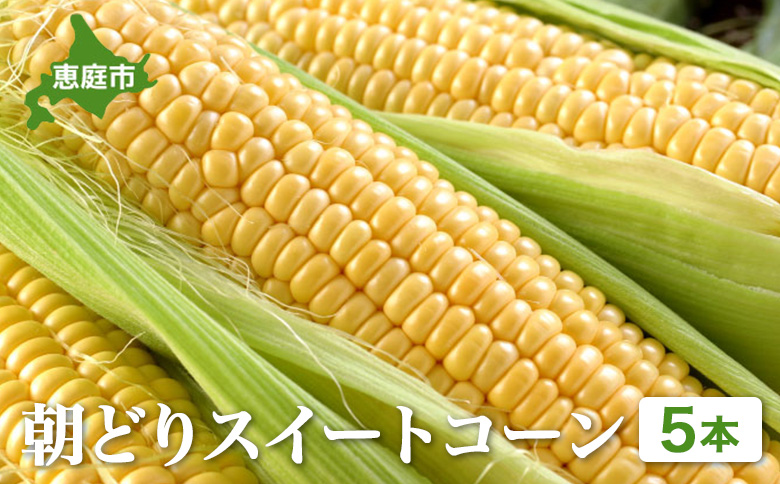 【北海道恵庭市産】朝どりスイートコーン×5本【31001601】