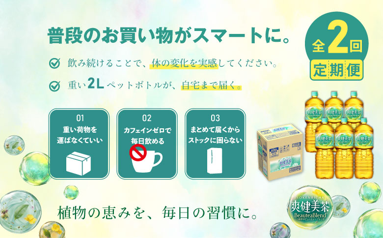 『定期便：全2回』爽健美茶2L×6本【38001902】