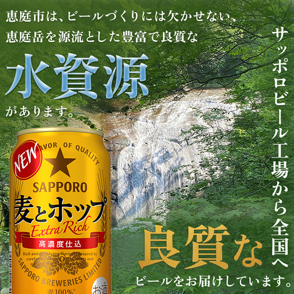 『定期便：全2回』麦とホップ350ml×24本【300110241902】