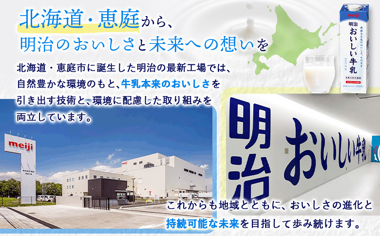 《配送地域限定》【定期便12回】明治おいしい牛乳 900ml【4本】【73005001】