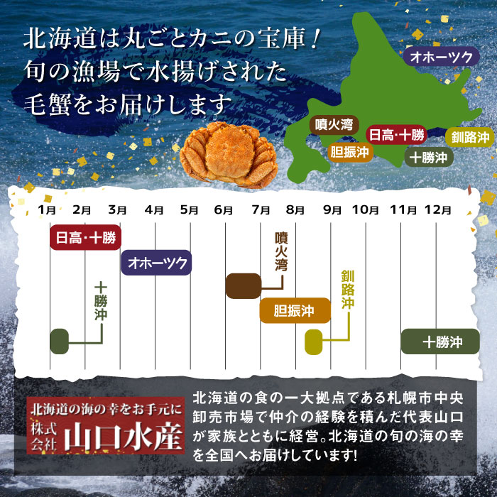 【訳あり品】【北海道産】『冷凍』毛ガニ450g前後×2杯【52000402】