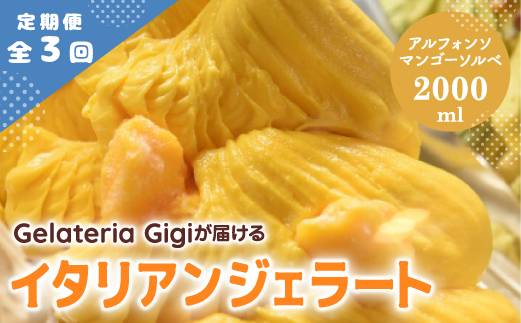 【定期便：全3回】ジェラテリアGigiのイタリアンジェラート『アルフォンソマンゴーソルベ』2000ml【43006403】