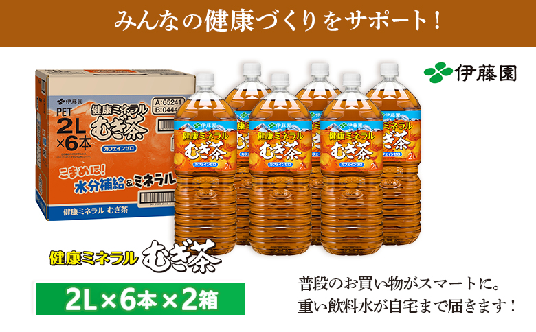 健康ミネラルむぎ茶 2000mlPET×6本×2箱 麦茶 飲料【50000401】