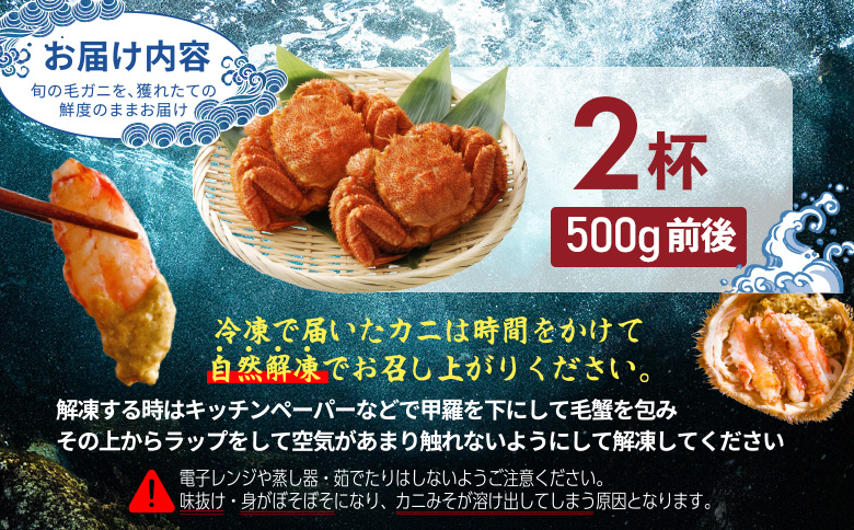 【北海道産】『冷凍』毛ガニ500g前後×2杯【急速冷凍】【52010AA0101】