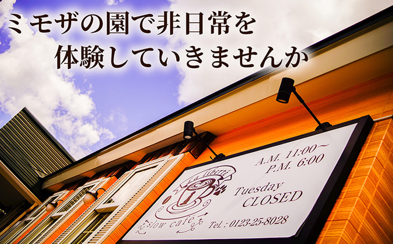 【定期便：全5回】自家製コーヒー豆 ドリップバック10個入×3セット【A20036】