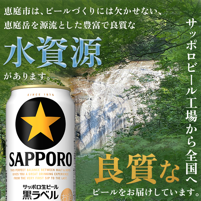 サッポロ　黒ラベル　48本（350ml×24本×2箱）【300040812】