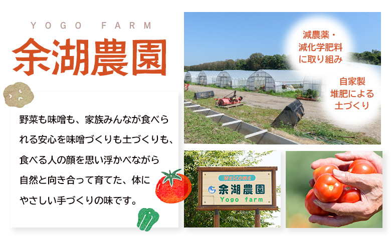 自家製味噌　700g×2パック【31001501】