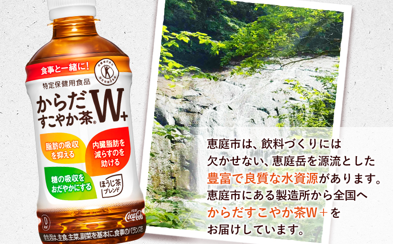 【定期便：11回（隔週発送）】からだすこやか茶W+ 350ml×24本【38004702】