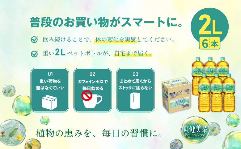 【カフェインゼロ】爽健美茶 2000mlPET×6本【38000702】