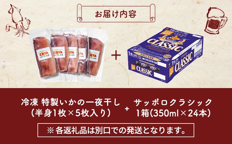 特製いかの一夜干し(5枚入り）とサッポロクラシックのセット【C9901901】